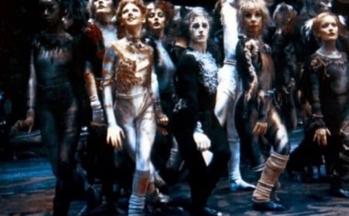 Cats / Stage Performance #9